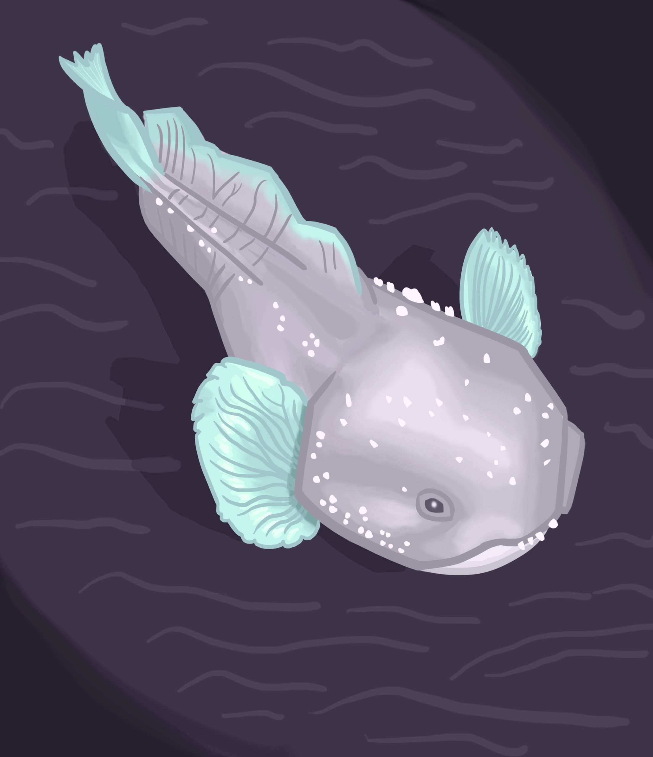 CoesterAriArtwork - Ari Coester
