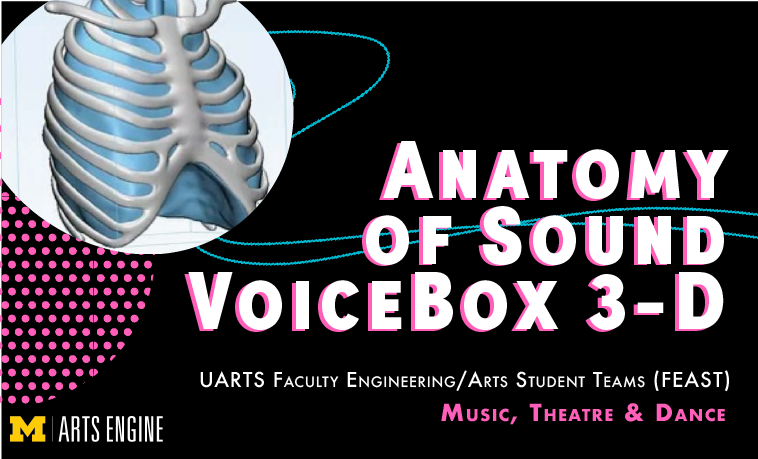 FEAST: Anatomy of sound voicebox 3d