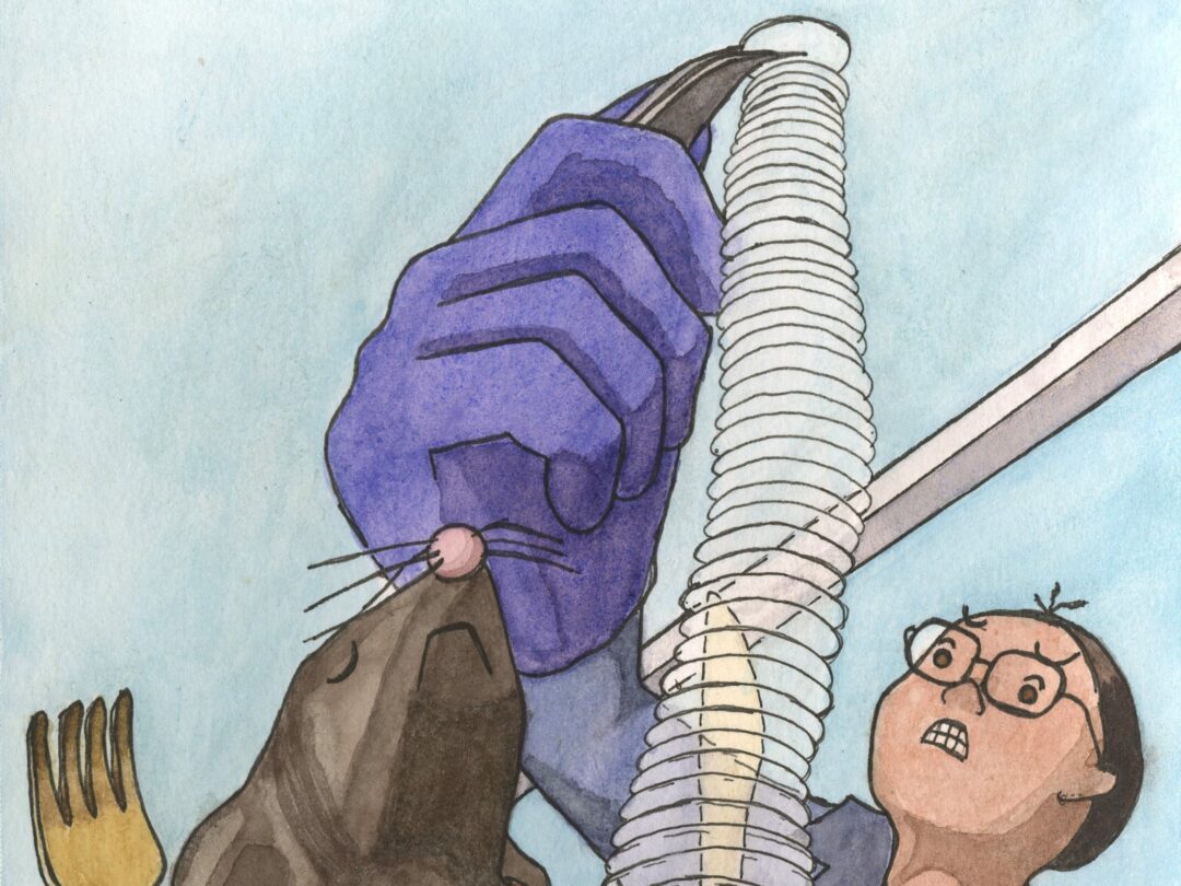 Huang Artwork
